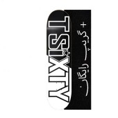 تخته اسکیت برد TSIXTY Skateboard Deck Logo